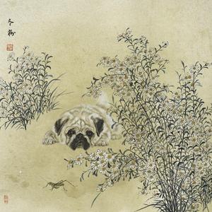 旺旺