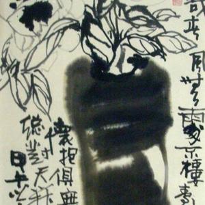 种花一盆