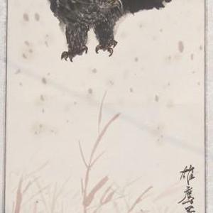雄鹰寻物