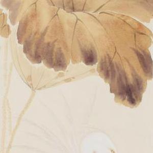 鲍虎 含风生香
