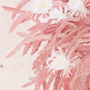 鲍虎 鸿云