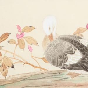 画家鲍虎 红蓼麻鸭