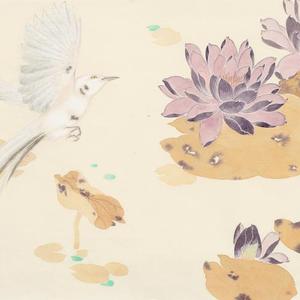 画家鲍虎 莲花雨露