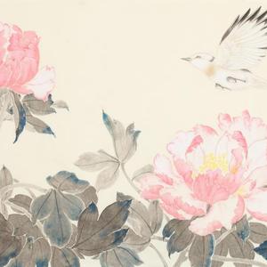 画家鲍虎 牡丹白露
