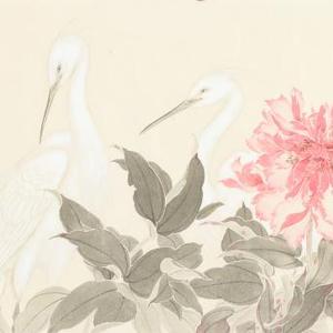 画家鲍虎 倚红醉浓露