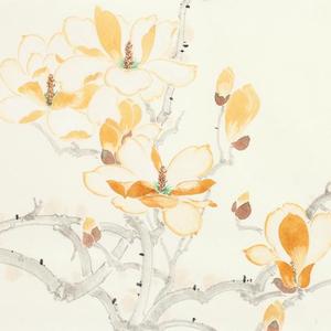 画家鲍虎 玉兰喜鹊