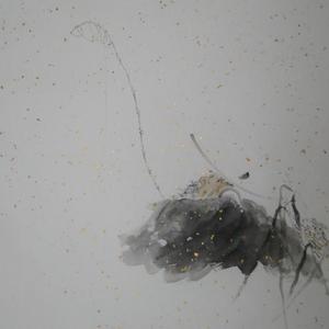 孤鸿