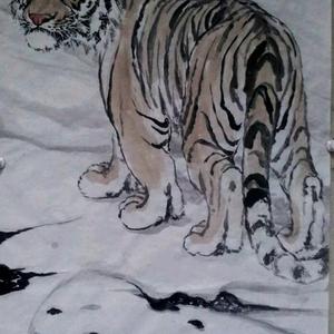 雪原行者