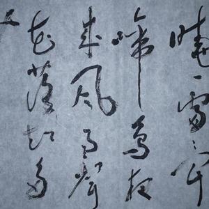 王成路书法--春晓