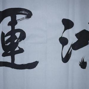 王成路书法--鸿运