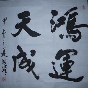 王成路书法--鸿运天成