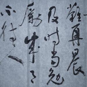 王成路书法--陶渊明杂诗