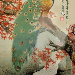花鸟