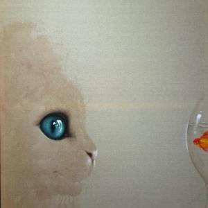 猫咪