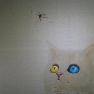 猫咪