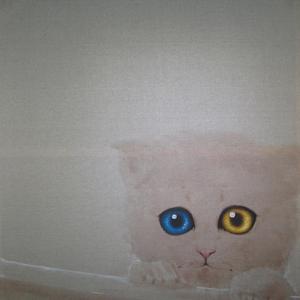猫咪