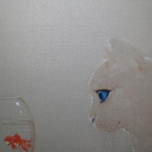 猫咪