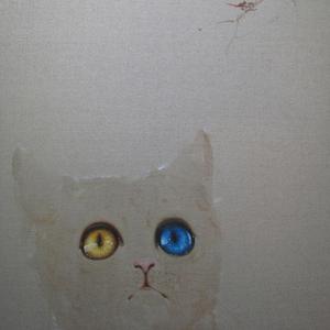 猫咪