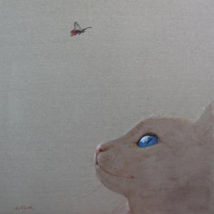 猫咪