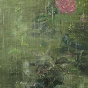 花花世界