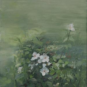 花花世界