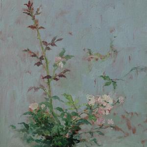 花花世界