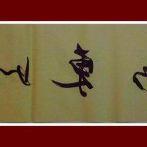 刘玉森的左笔反书作品