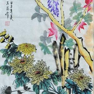 双栖