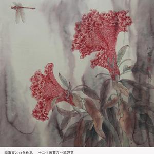 鸡冠花
