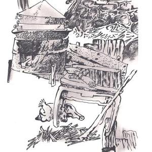 速写创作系列 （4）