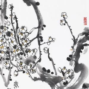 素韵清姿