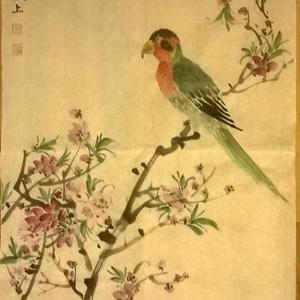 花鸟
