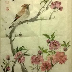 花鸟