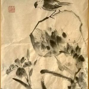 花鸟