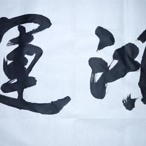 王成路书法--鸿运