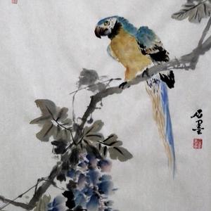 鹦鹉紫藤