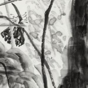《墨荷》