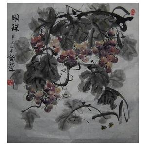明珠葡萄