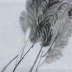 三世清白
