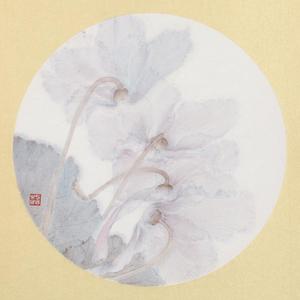 透明的波尔多之二
