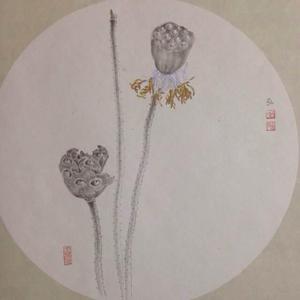 莲心似我心——（一）