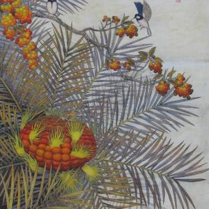 《胜赏天资美艳霞》