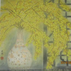 安琳【】迎春花