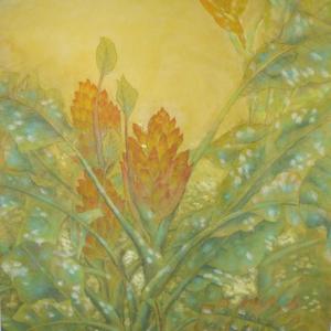 安琳【上花芭蕉】
