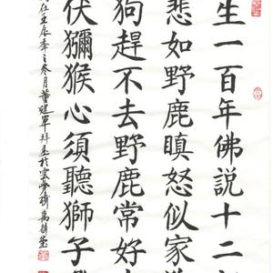 董建军书法 寒山诗 人生一百年