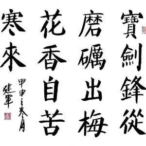 董建军书法 宝剑锋从磨砺出，梅花香自苦寒来