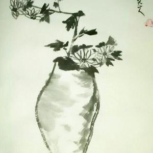 拙菊