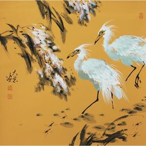 苇塘白鹭