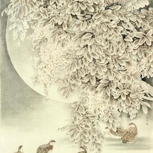 望月--工笔画家李俊才作品