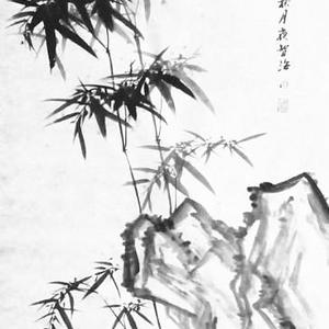 《风雨竟自由》竹子
